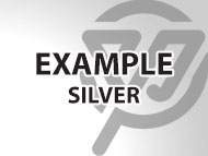 Example Silver