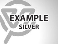 Example Silver-2